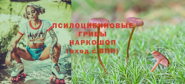 дурь Балабаново